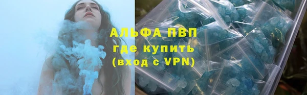 крисы Магас