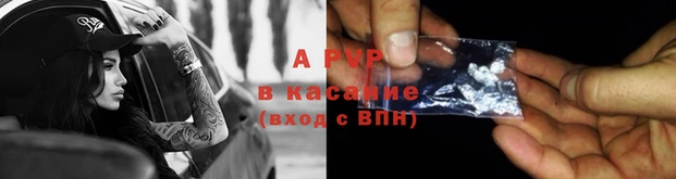 крисы Магас
