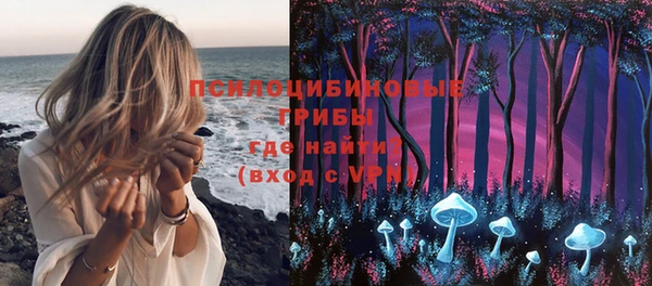 ALPHA PVP Медвежьегорск