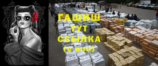 крисы Магас